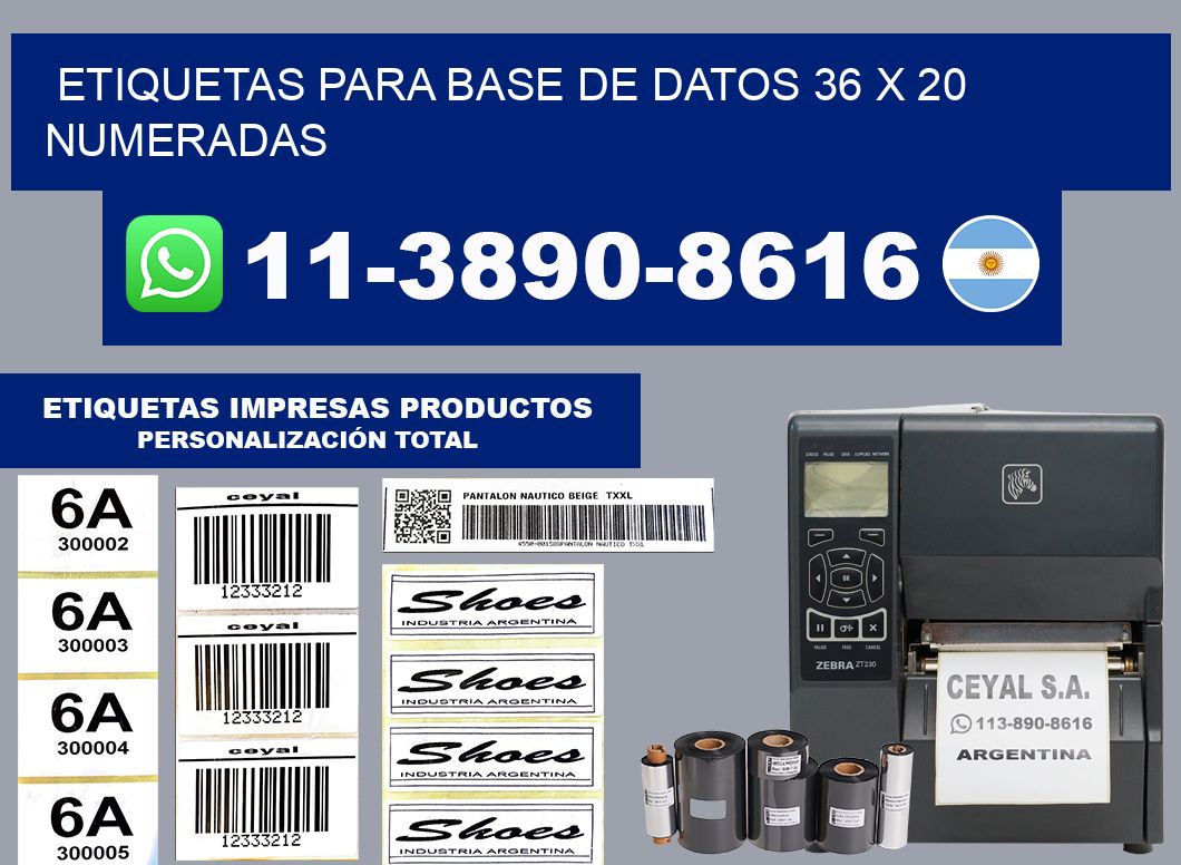 etiquetas para base de datos 36 x 20 numeradas