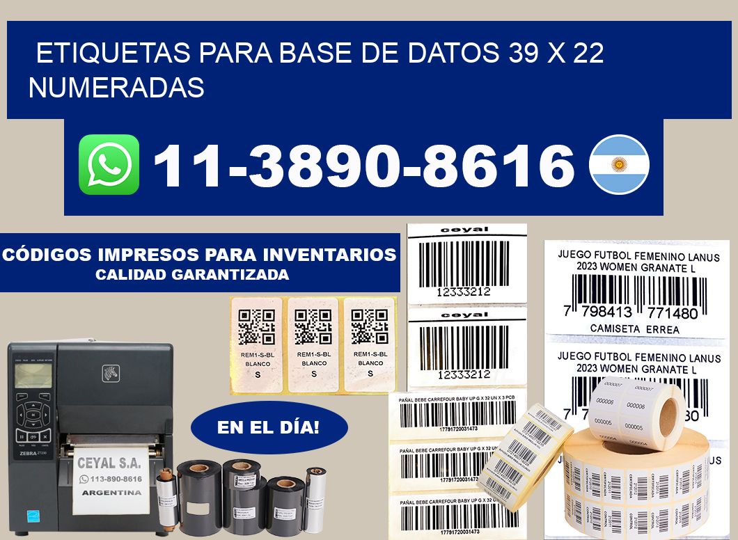 etiquetas para base de datos 39 x 22 numeradas