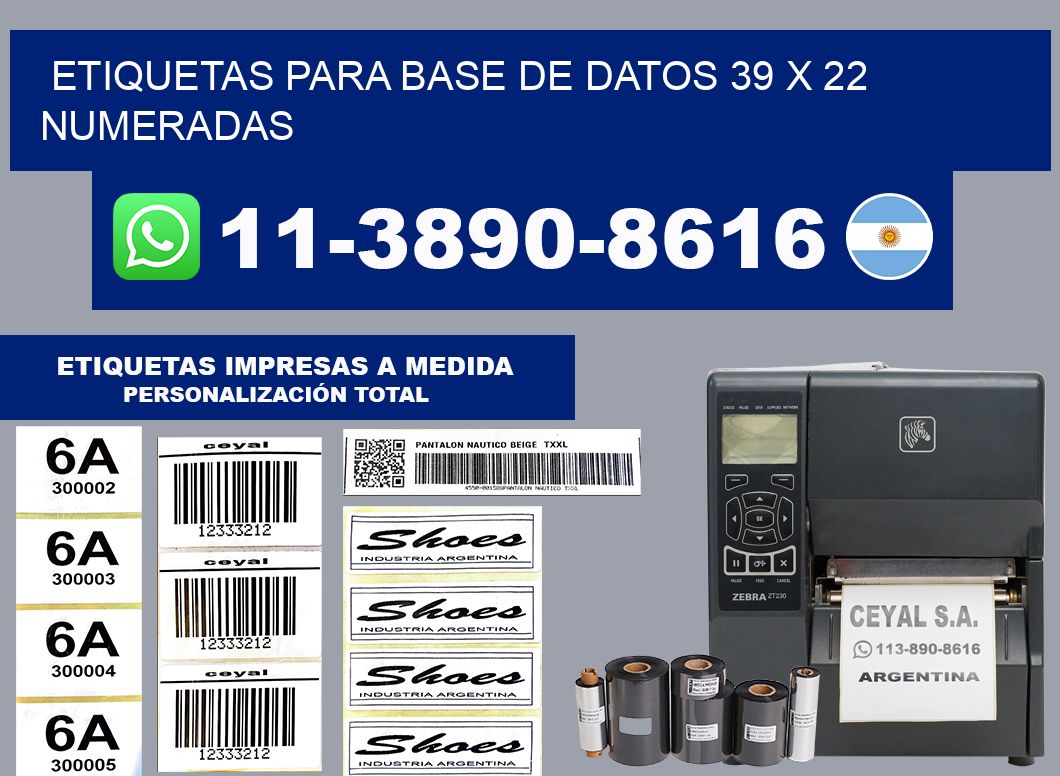 etiquetas para base de datos 39 x 22 numeradas