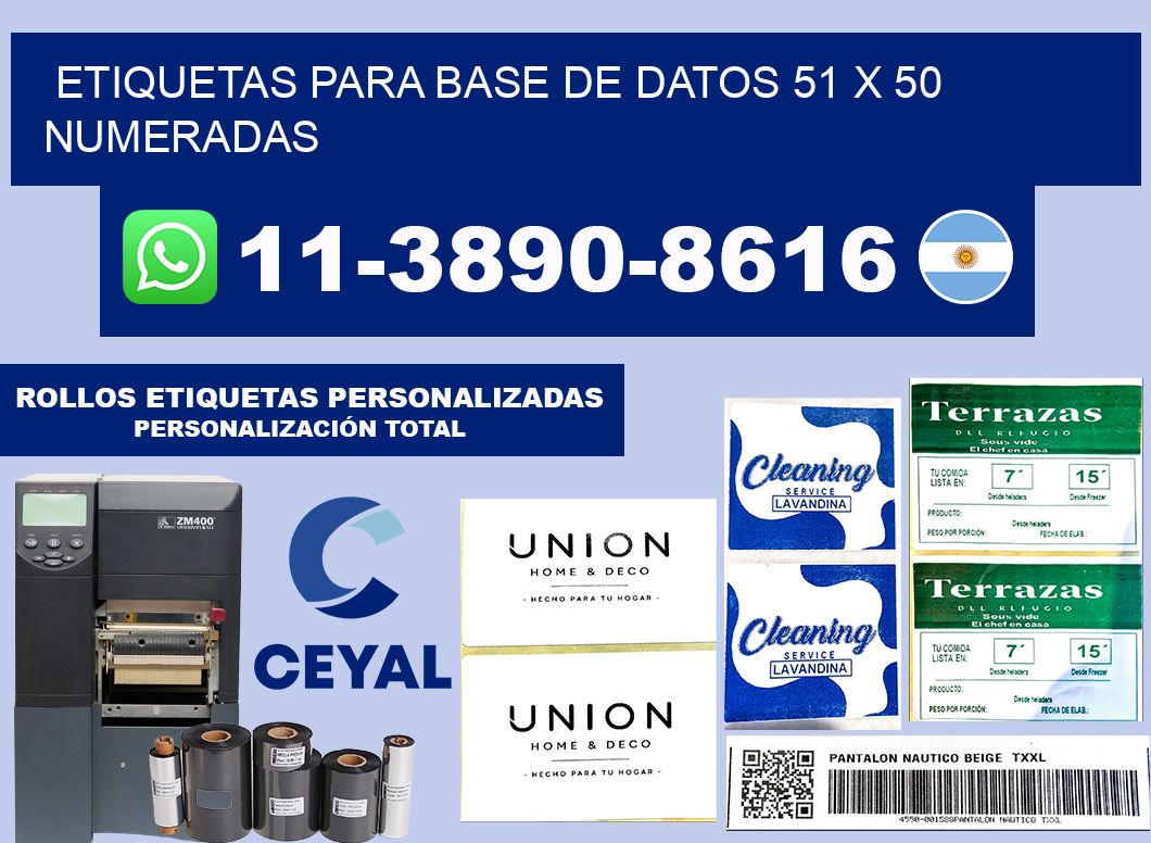 etiquetas para base de datos 51 x 50 numeradas