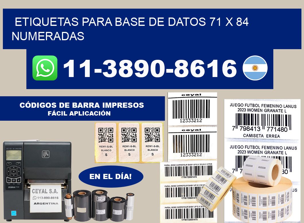 etiquetas para base de datos 71 x 84 numeradas