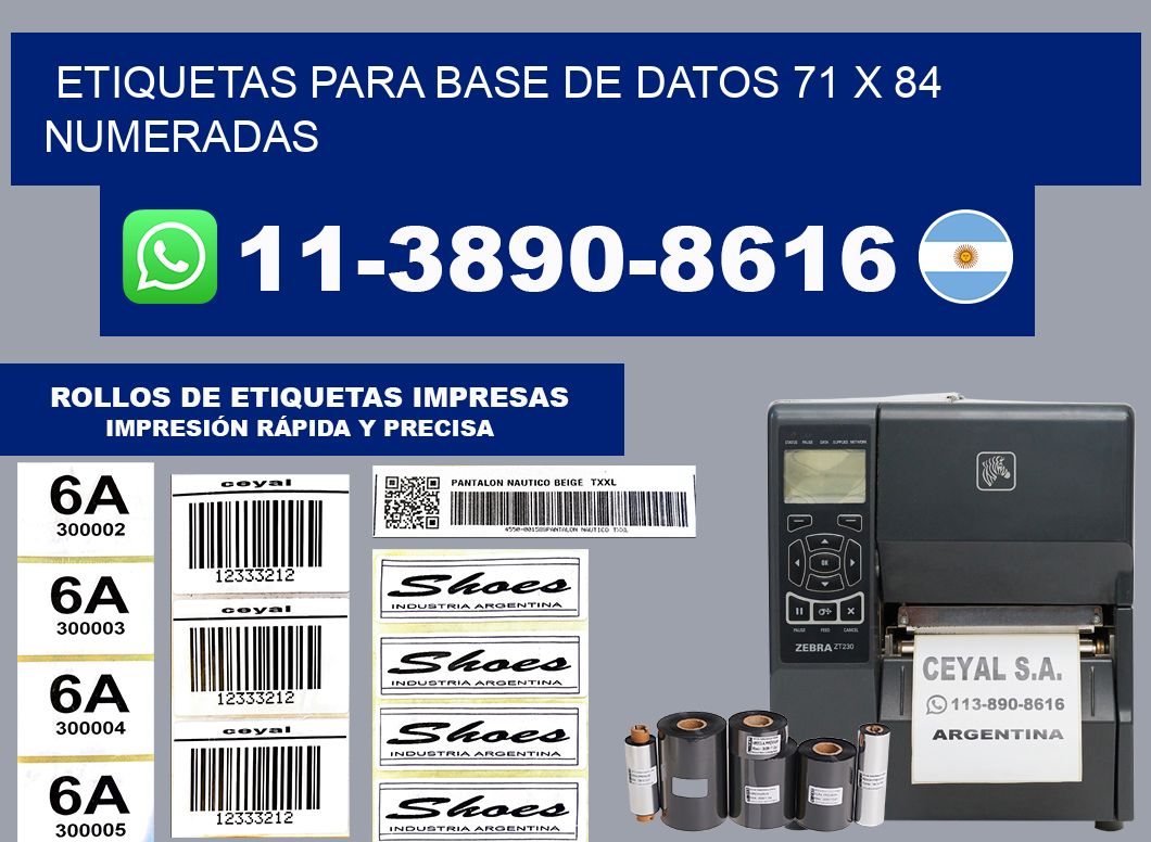 etiquetas para base de datos 71 x 84 numeradas