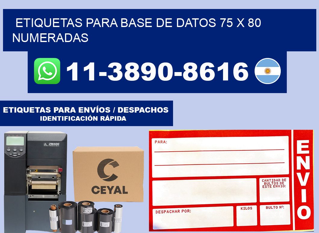 etiquetas para base de datos 75 x 80 numeradas