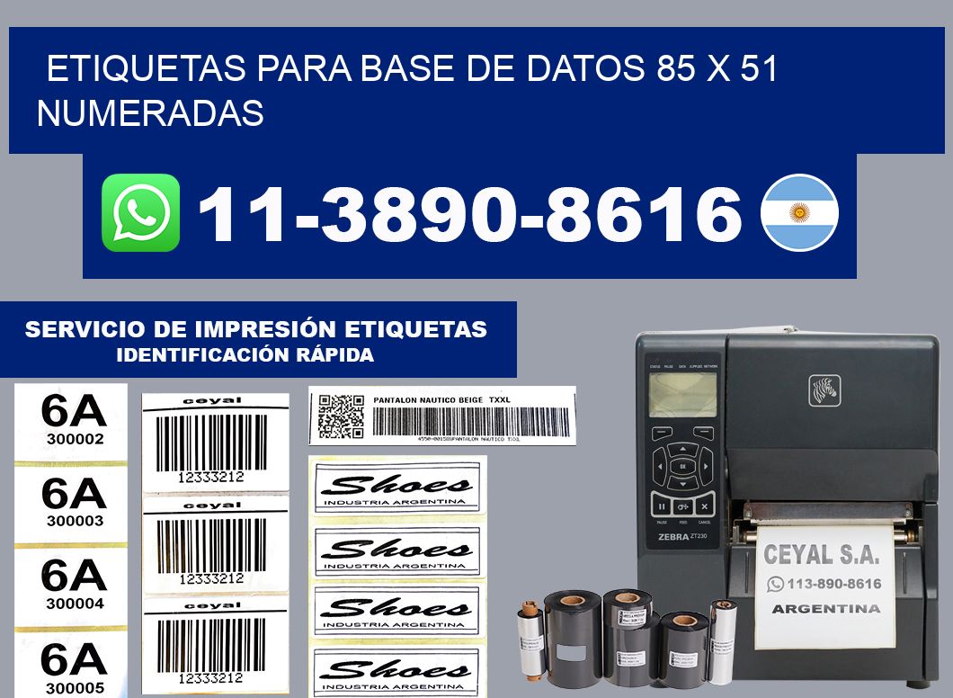 etiquetas para base de datos 85 x 51 numeradas