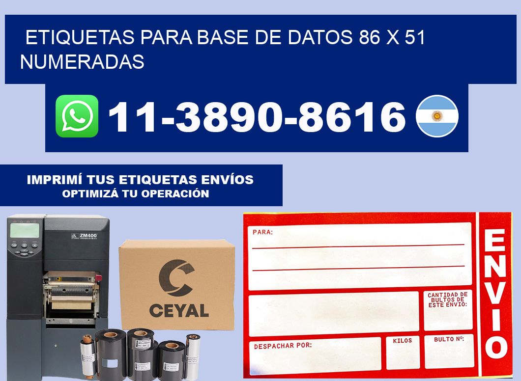 etiquetas para base de datos 86 x 51 numeradas