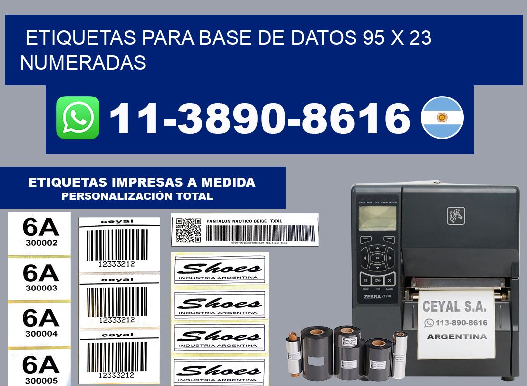 etiquetas para base de datos 95 x 23 numeradas