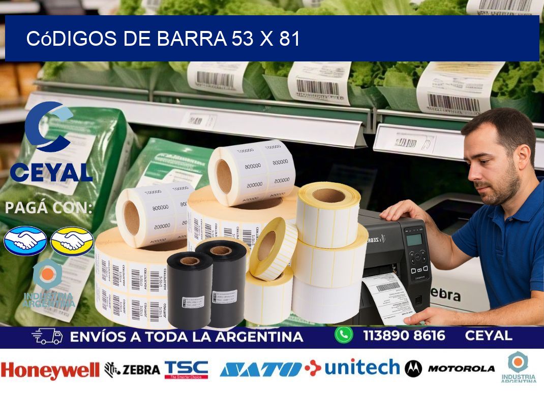 códigos de barra 53 x 81