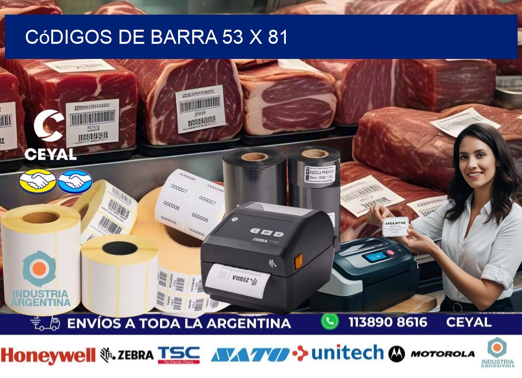 códigos de barra 53 x 81