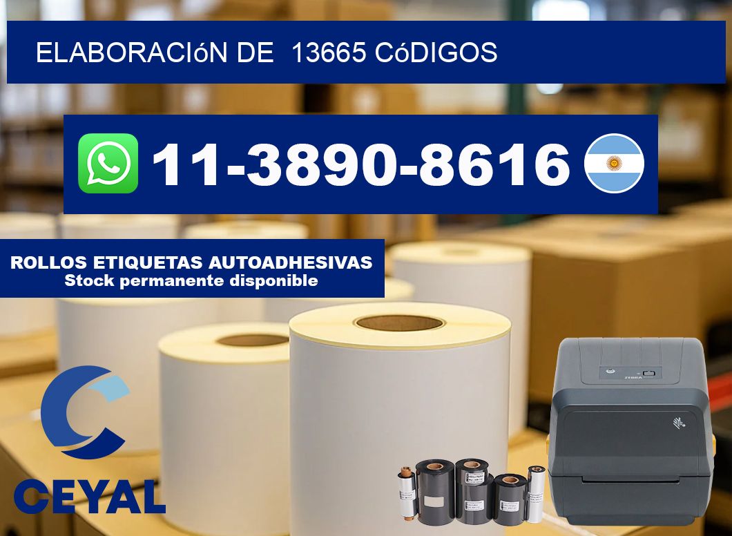 elaboración de  13665 códigos