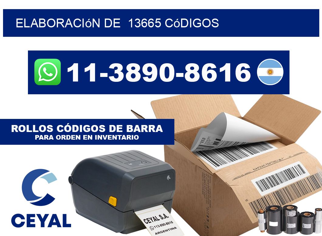 elaboración de  13665 códigos
