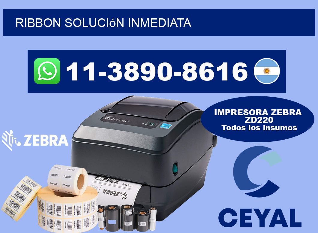 ribbon Solución inmediata