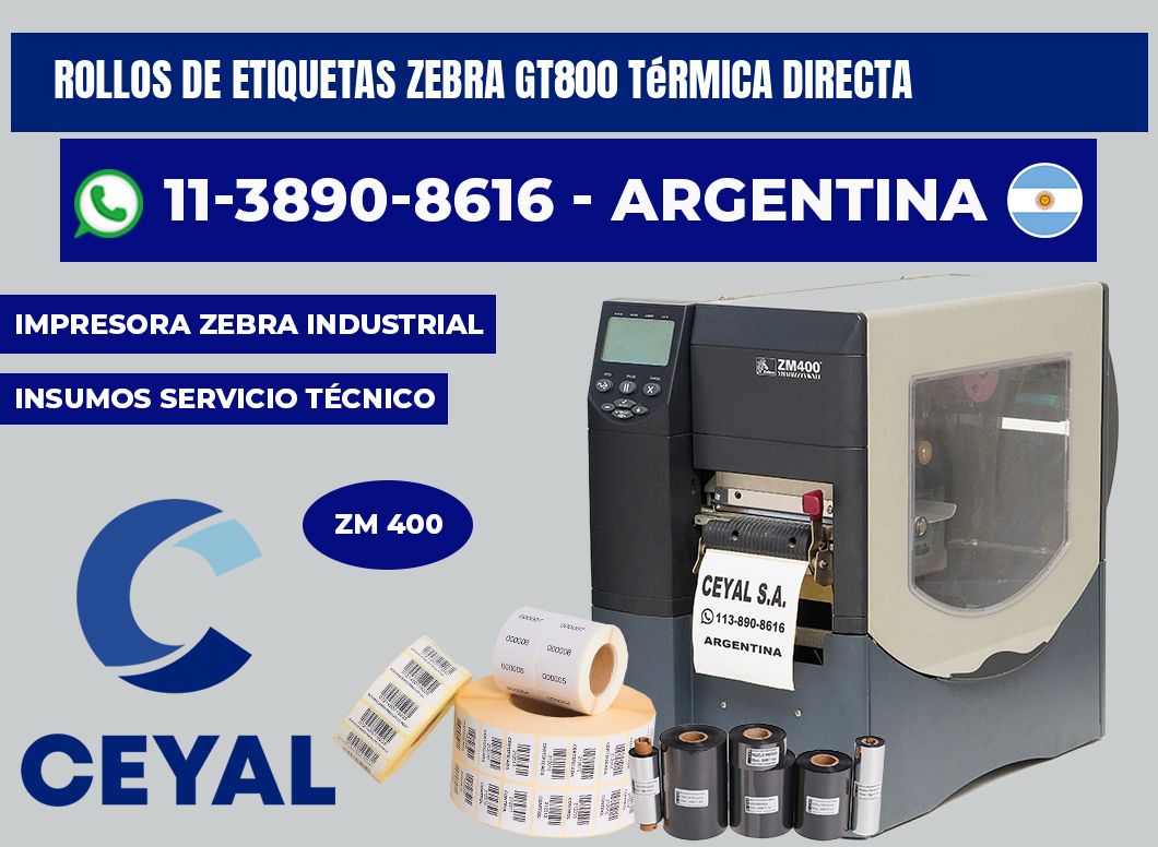 rollos de etiquetas zebra gt800 térmica directa