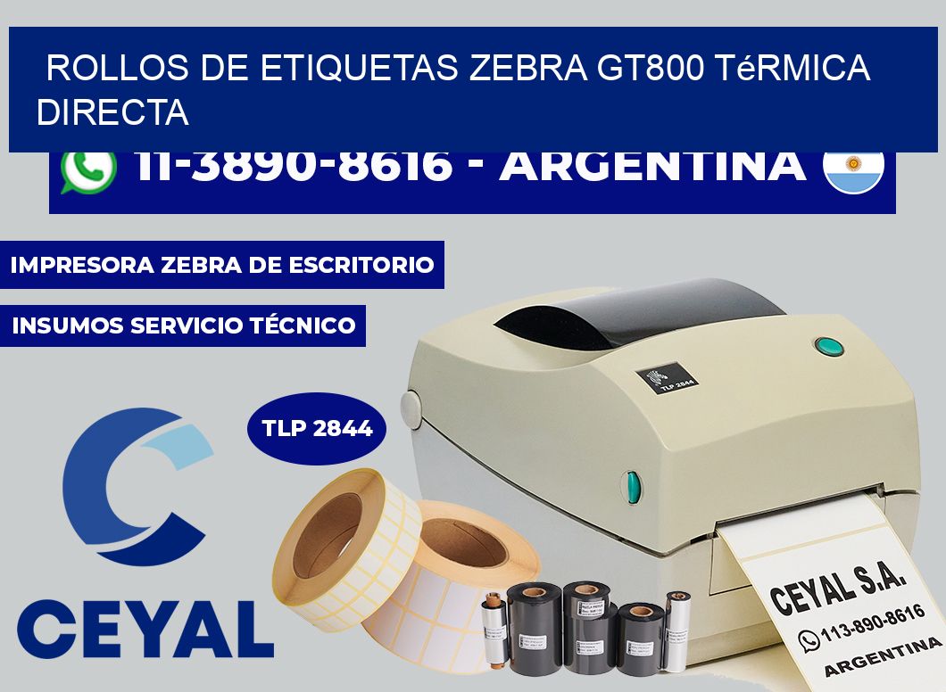 rollos de etiquetas zebra gt800 térmica directa